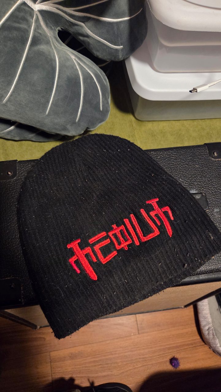 First attempt at embroidering on a beanie