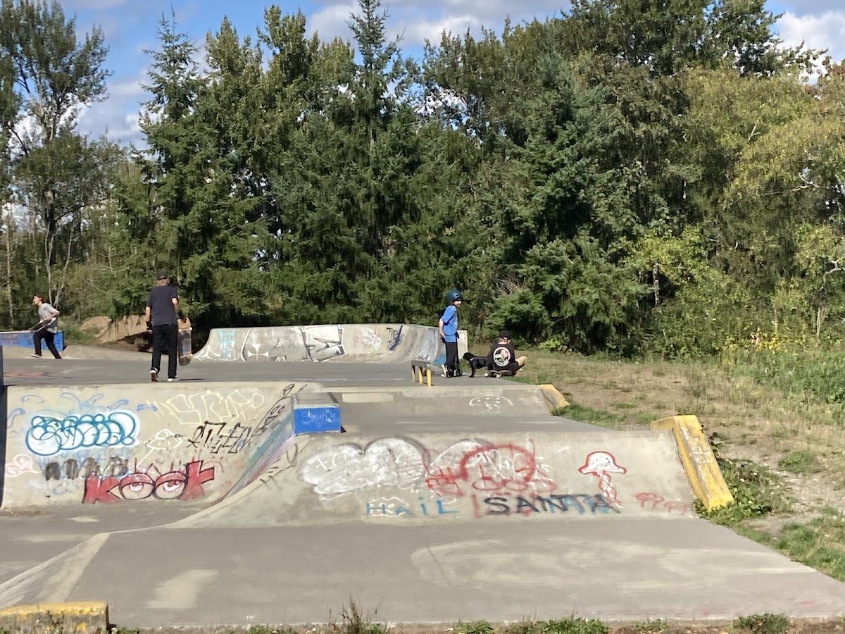 Bellingham Skate Park — rollerblading spot in Bellingham, USA